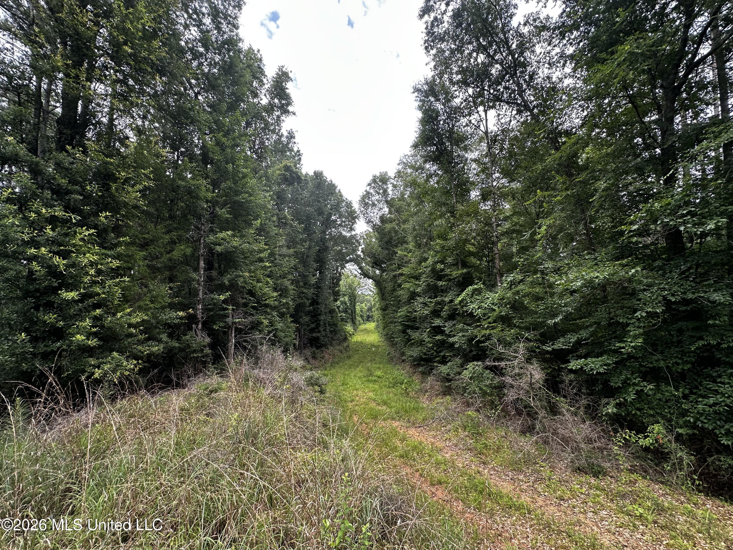 Highway 48 Property Photo 26