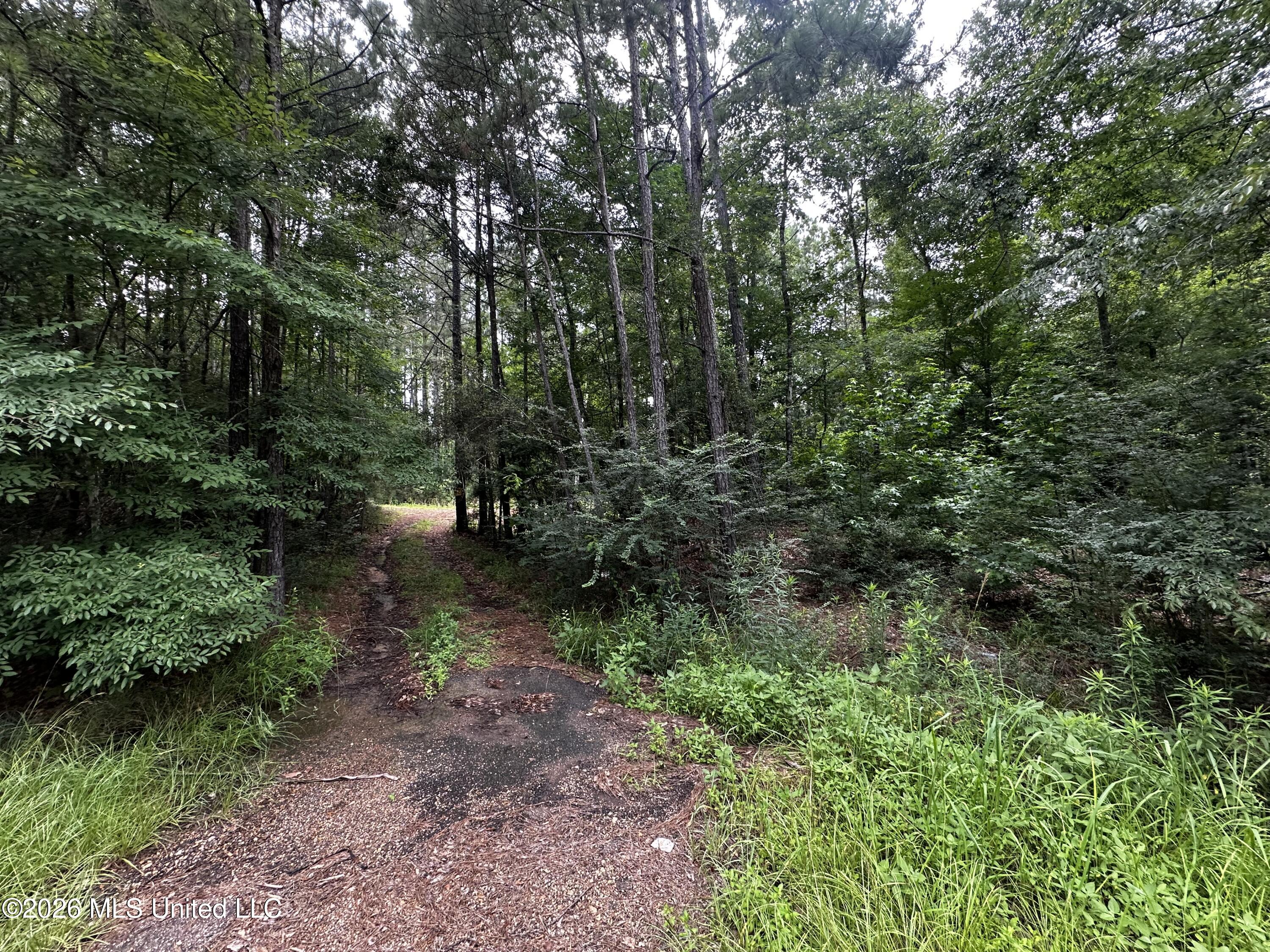 Highway 48 Property Photo 27