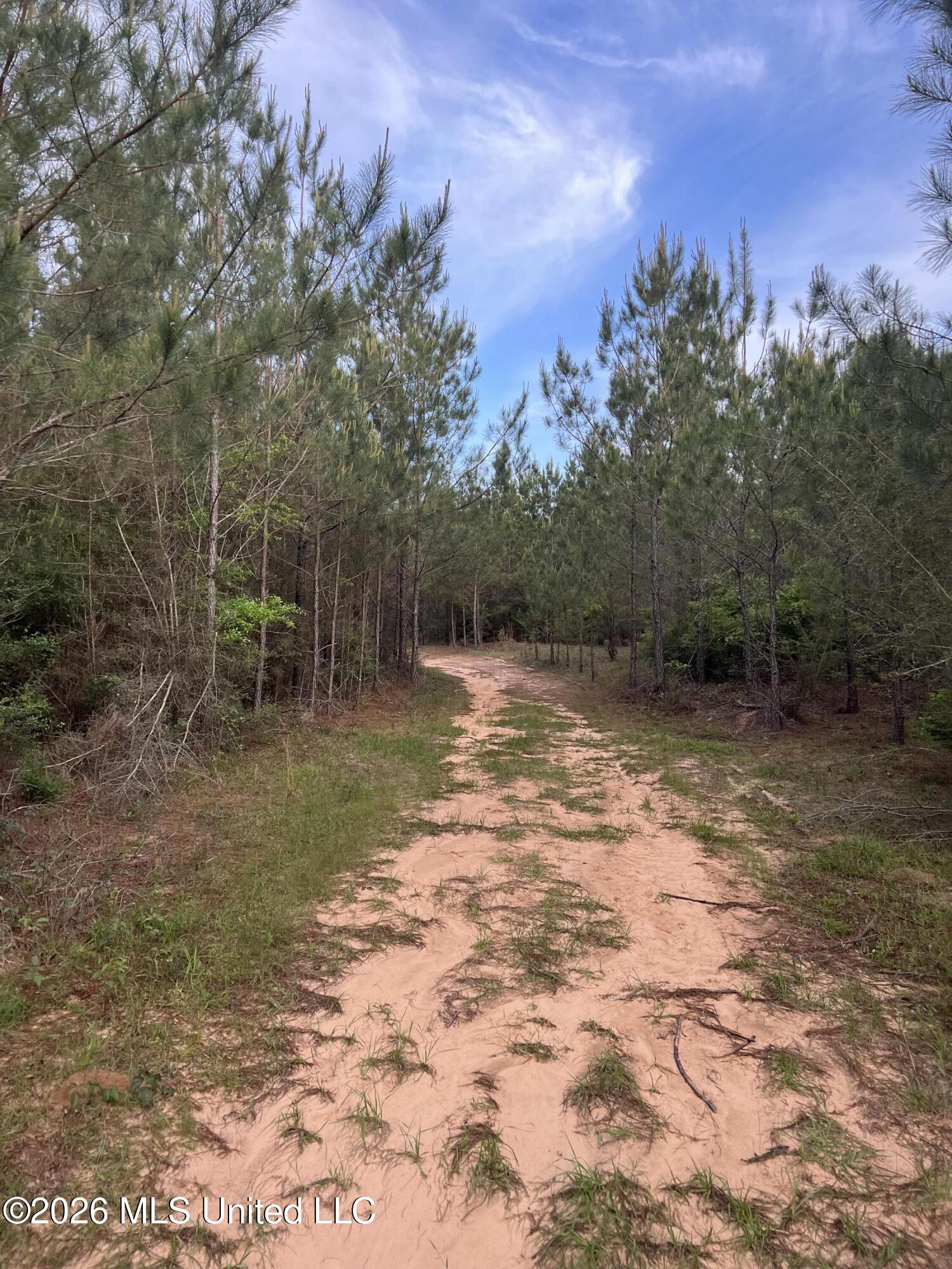 County Road 230 Property Photo 1