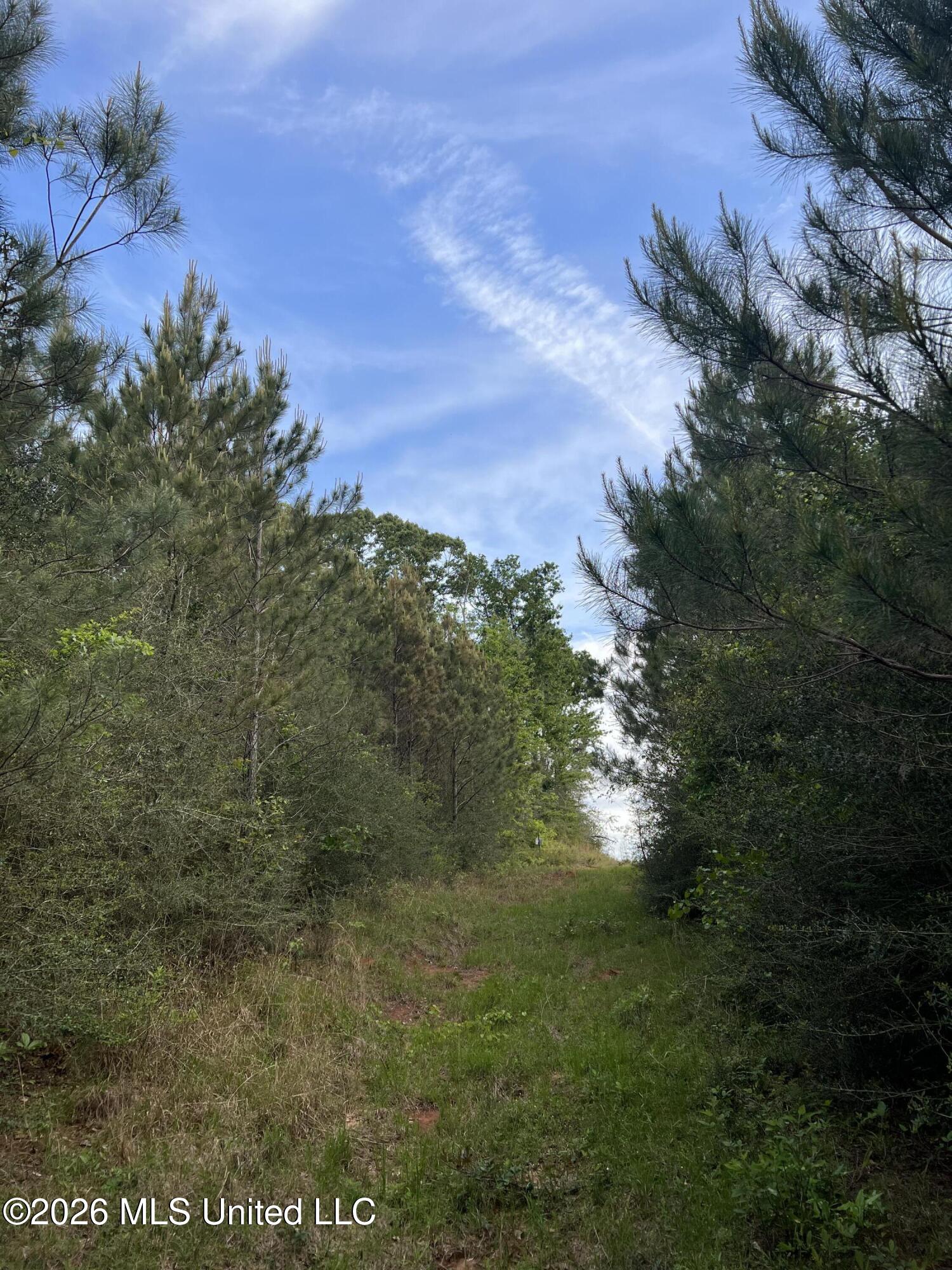 County Road 230 Property Photo 2