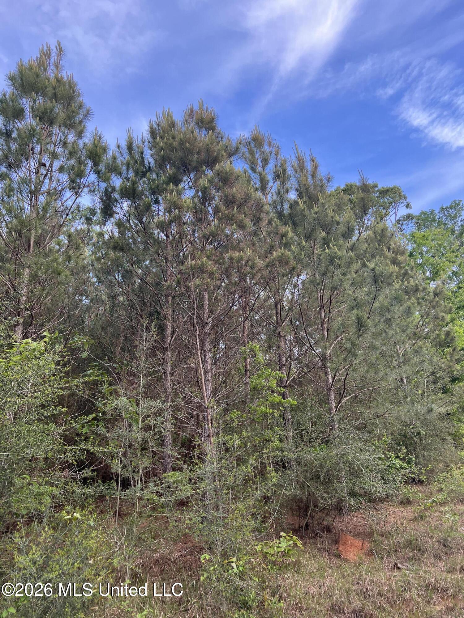 County Road 230 Property Photo 3