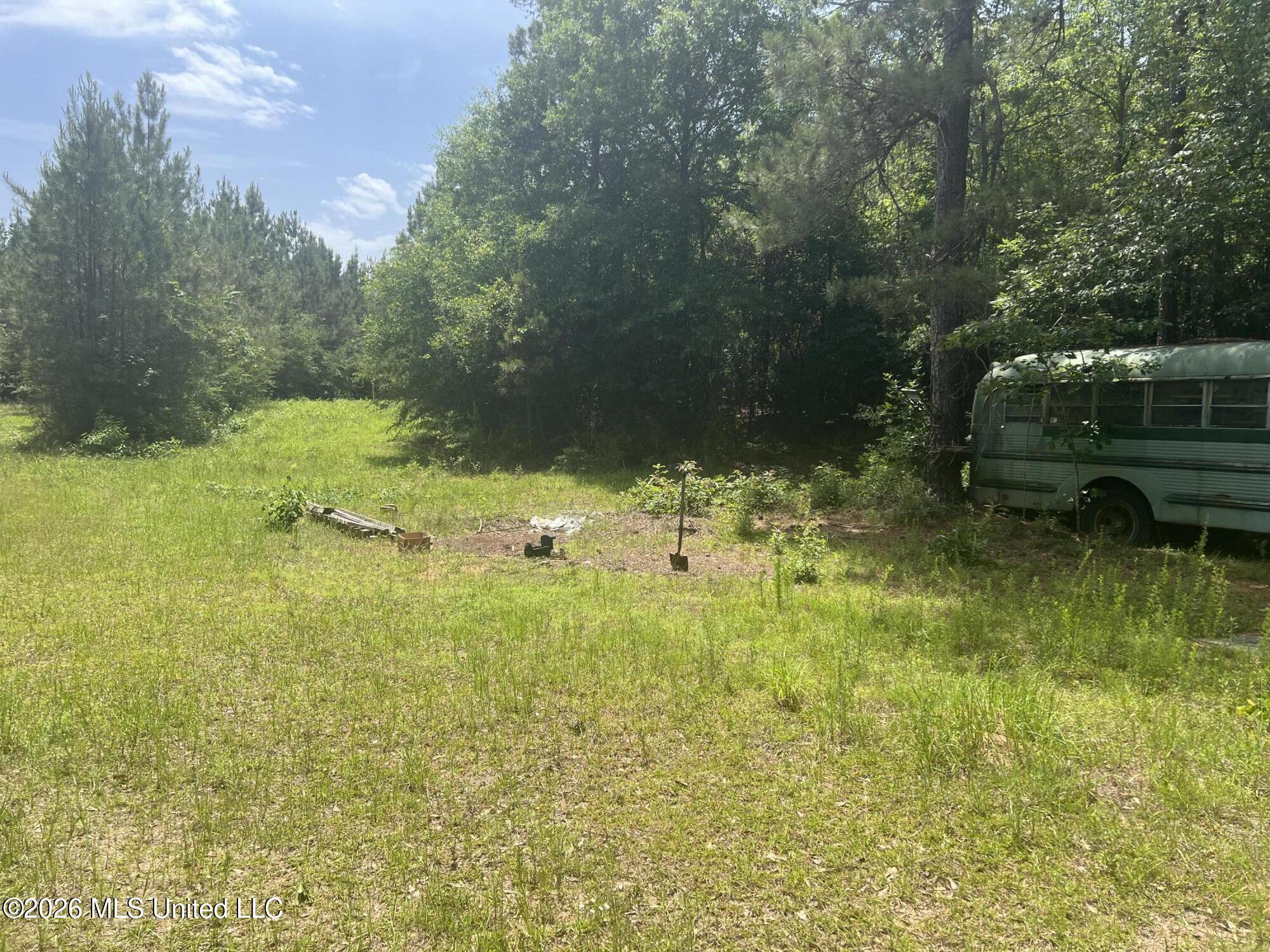 County Road 230 Property Photo 4