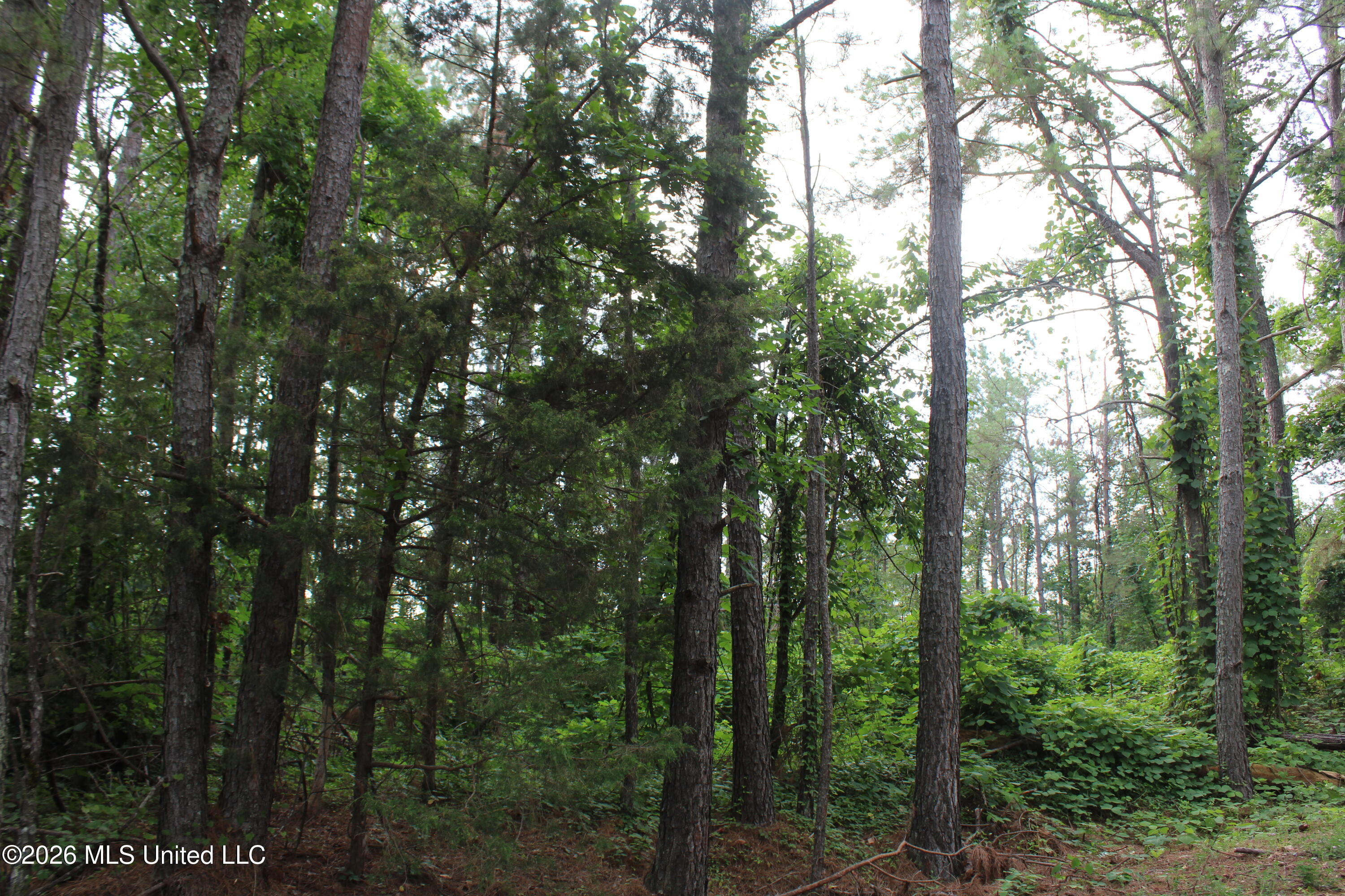 351 Waites Property Photo 1