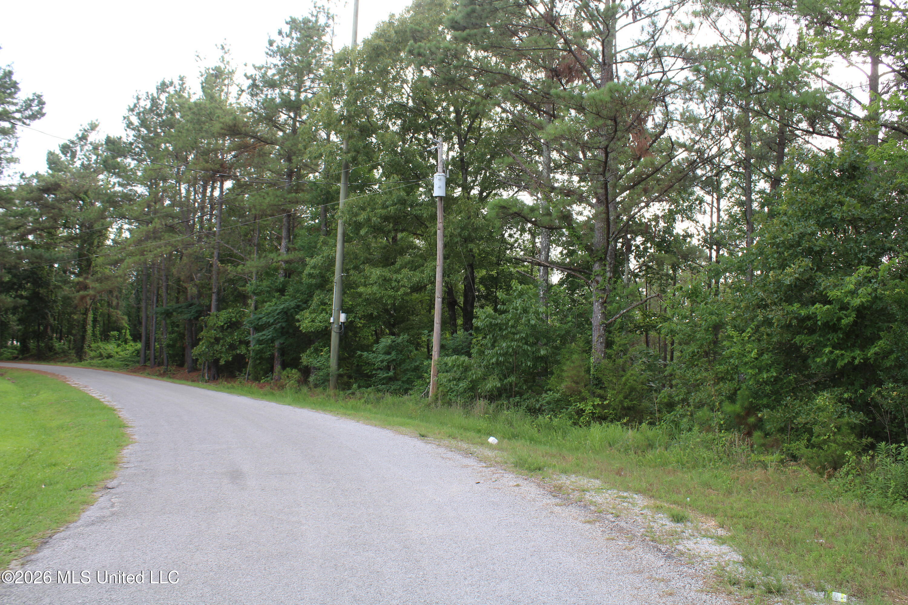 351 Waites Property Photo 3
