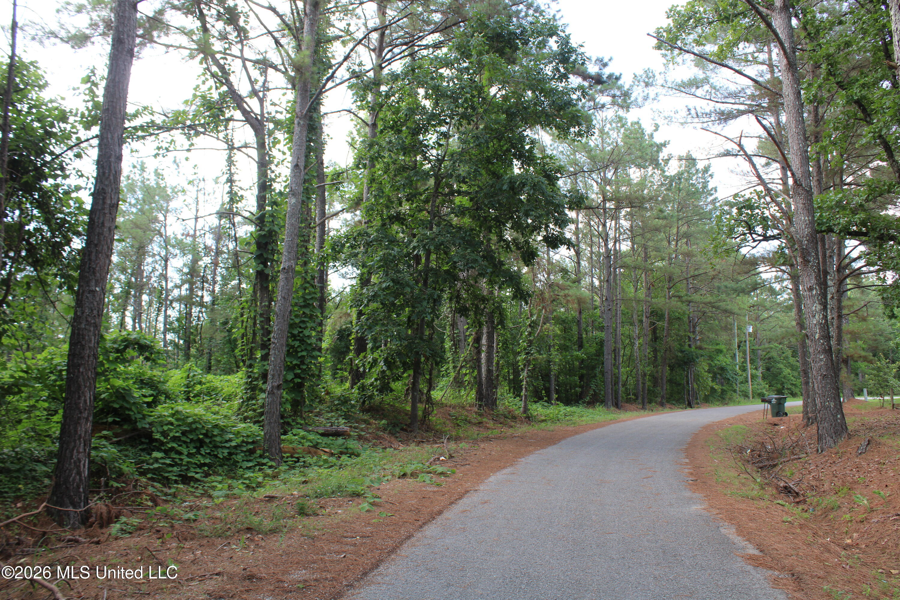 351 Waites Property Photo 4