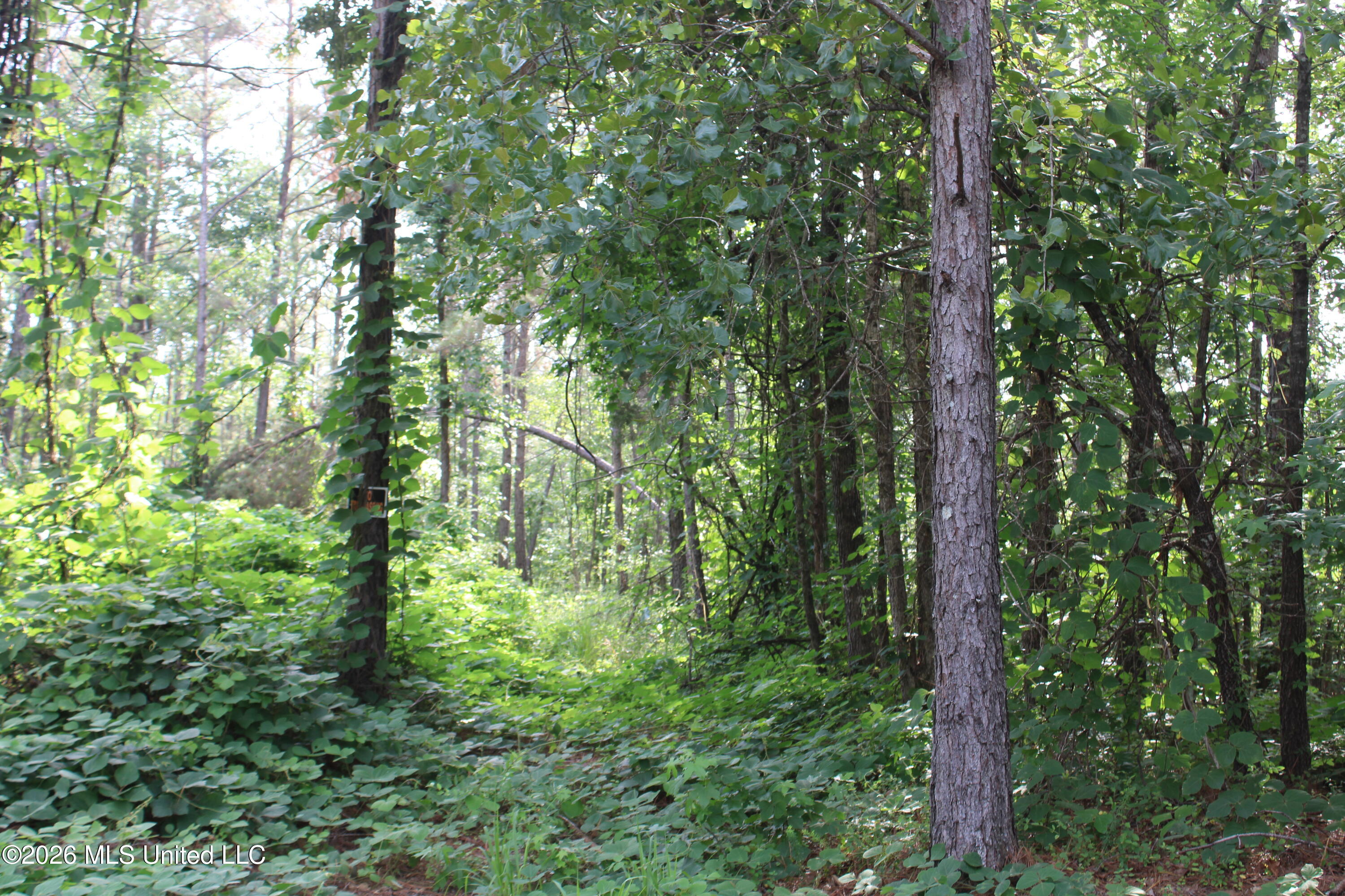 351 Waites Property Photo 5