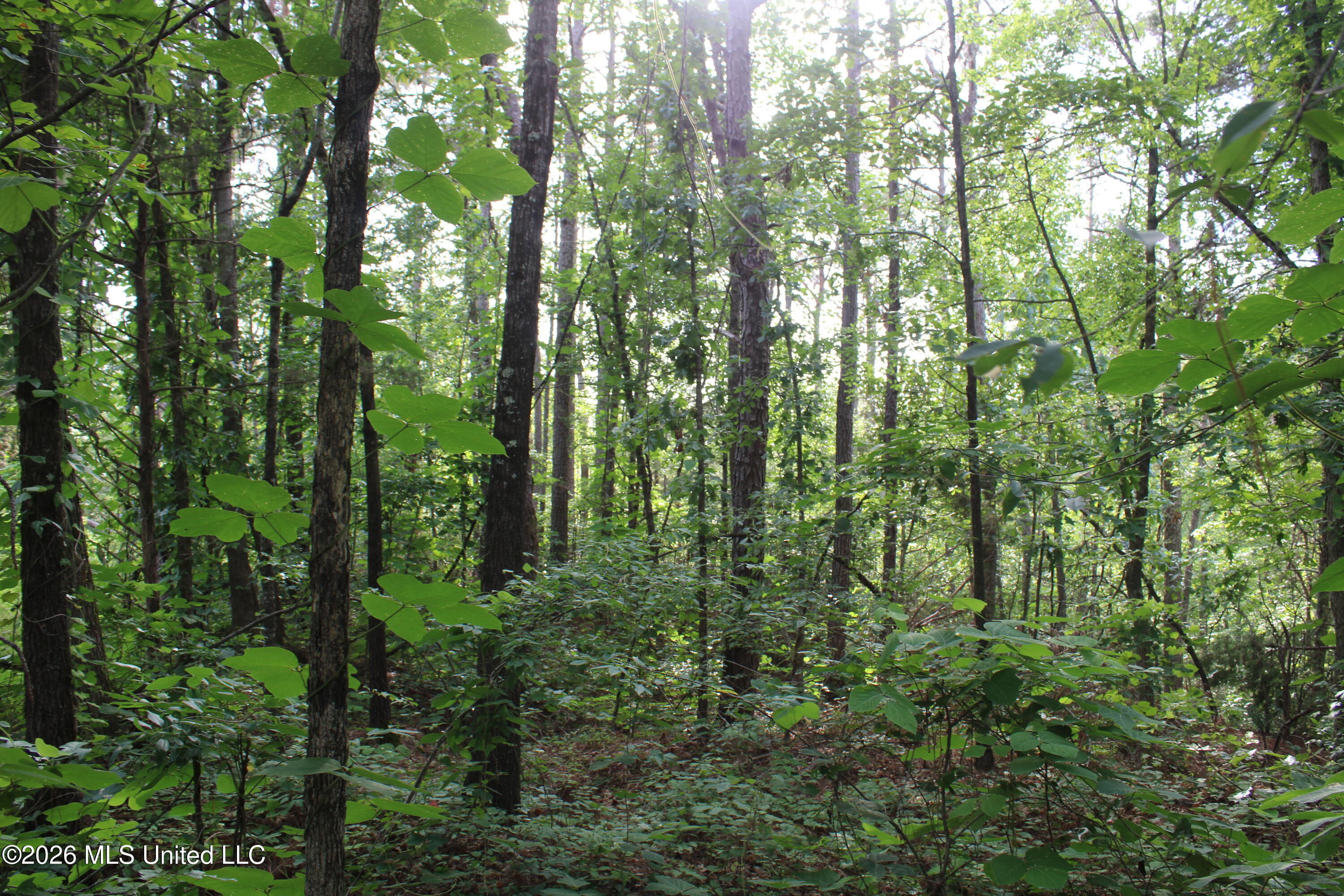 351 Waites Property Photo 6