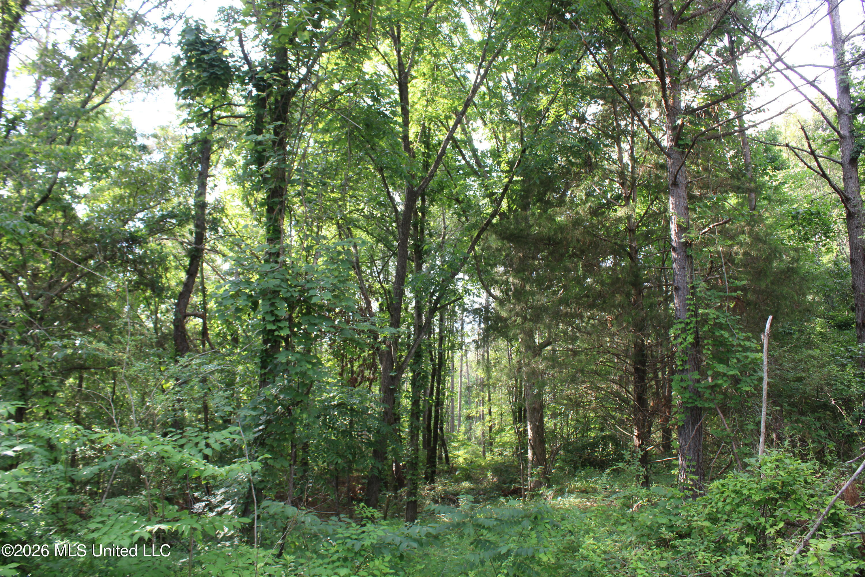 351 Waites Property Photo 8
