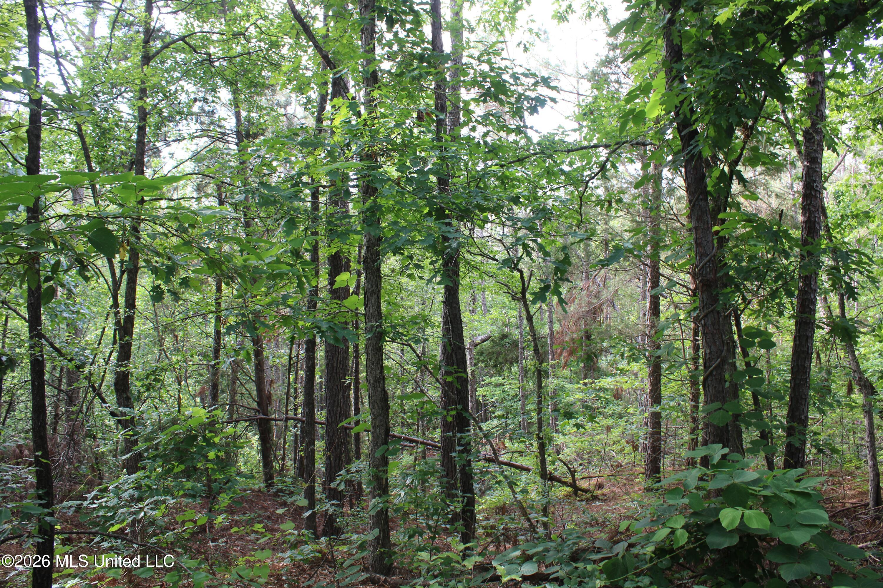 351 Waites Property Photo 9