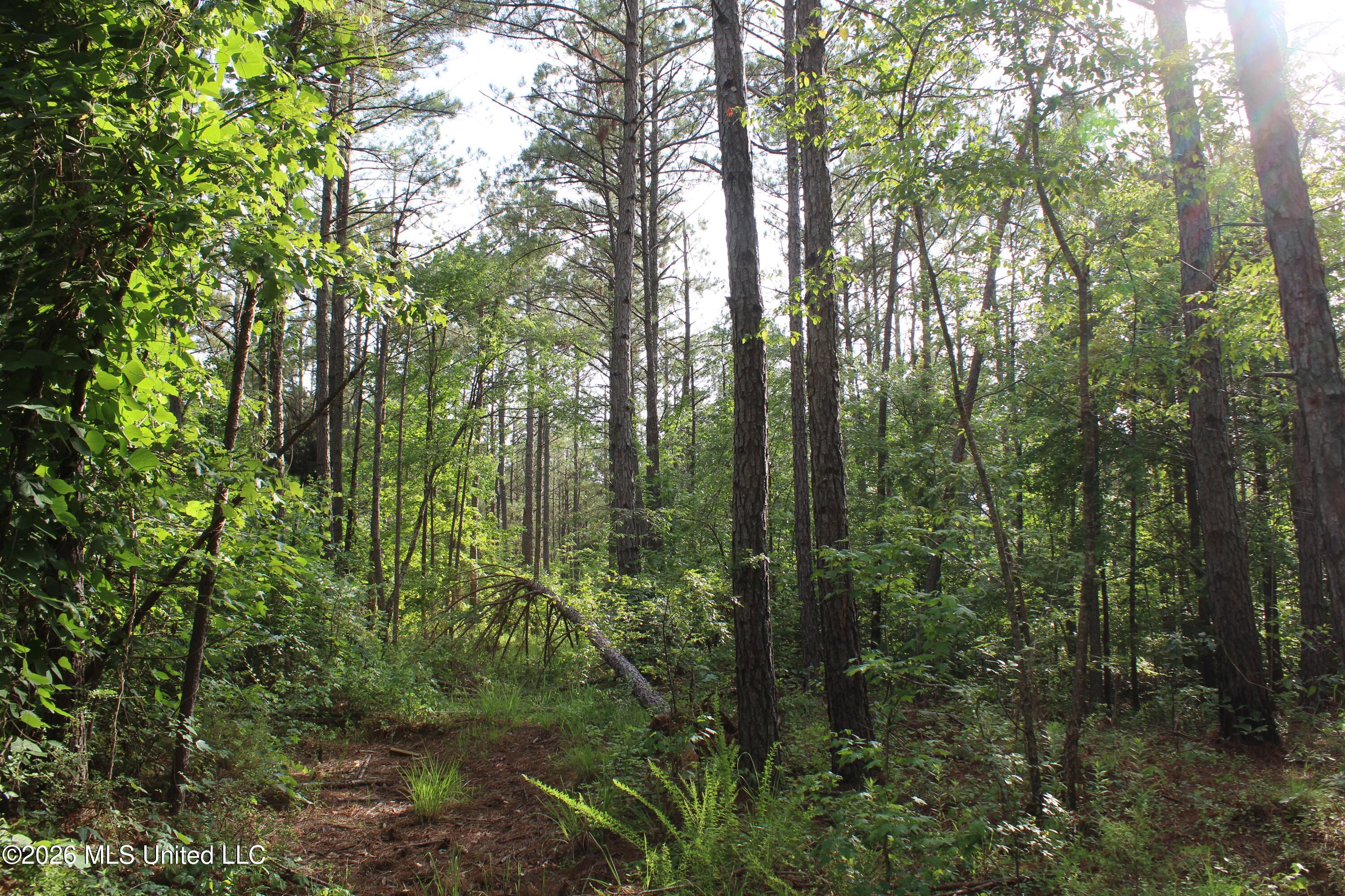 351 Waites Property Photo 10
