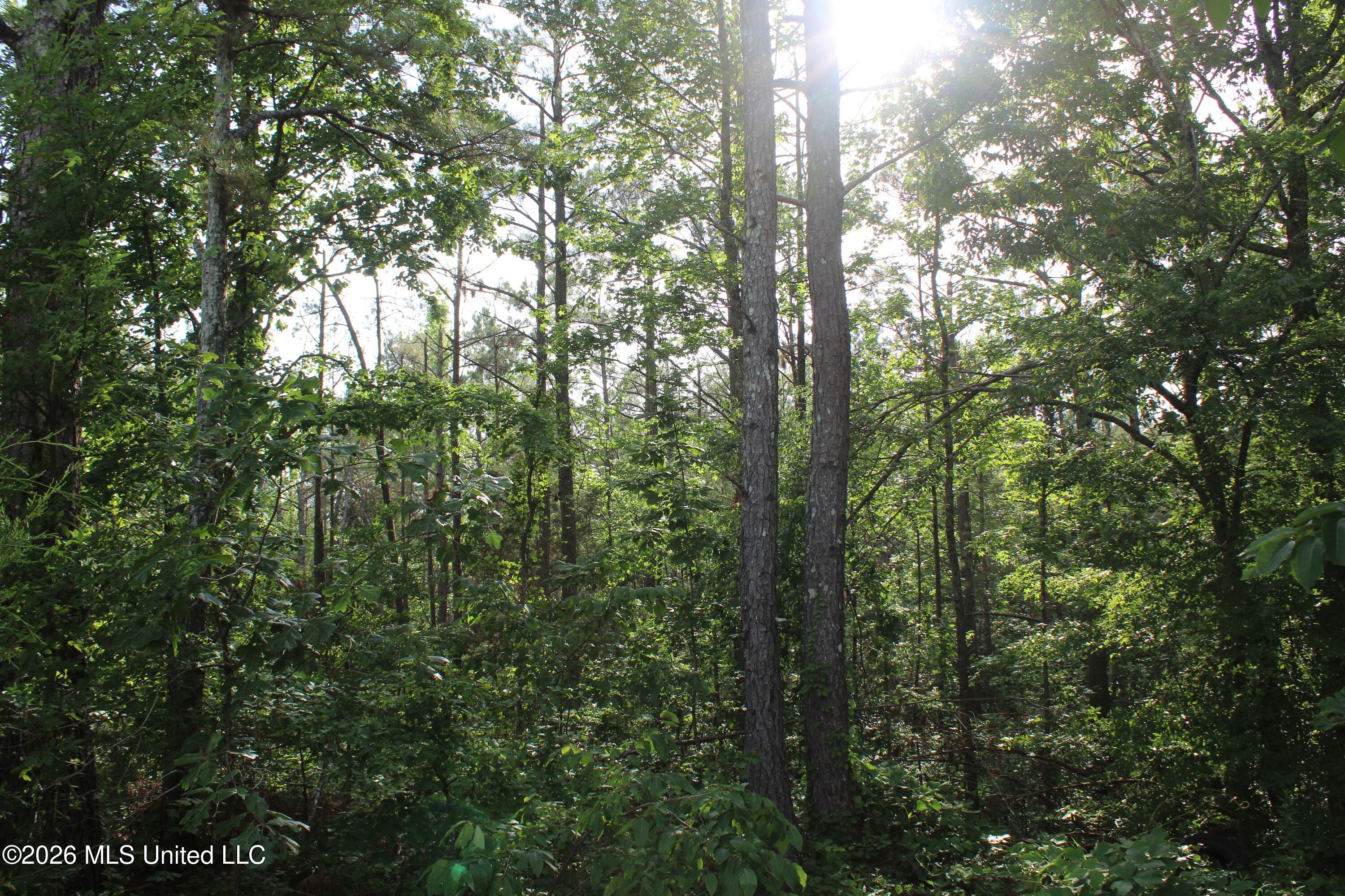 351 Waites Property Photo 12