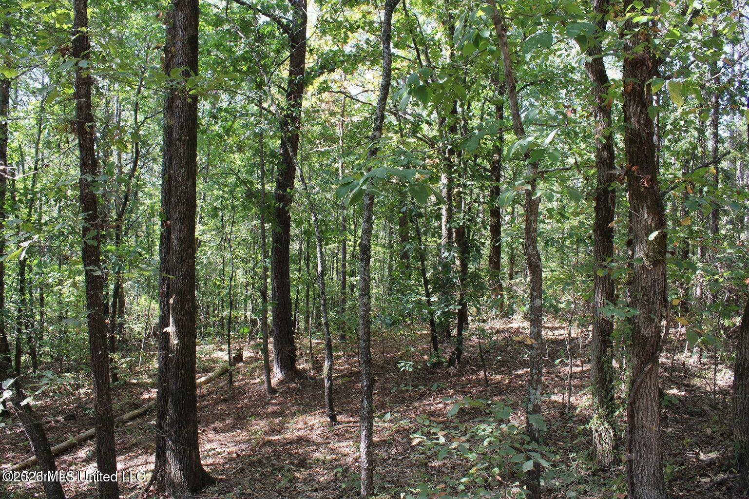 351 Waites Property Photo 13