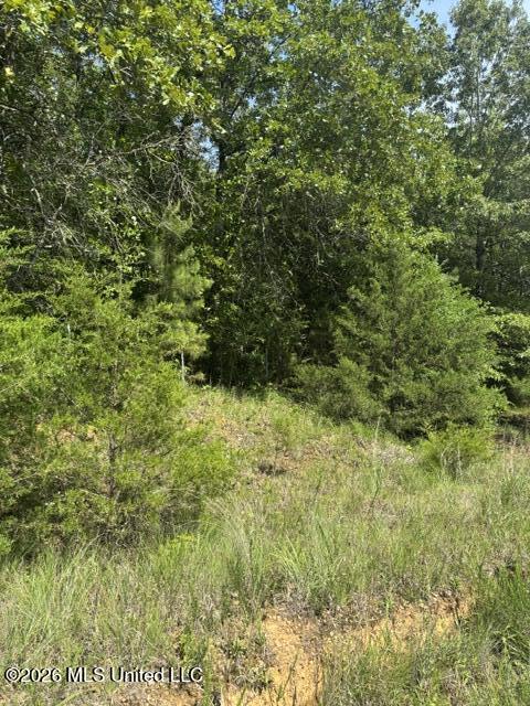 139 David Cove Property Photo 1
