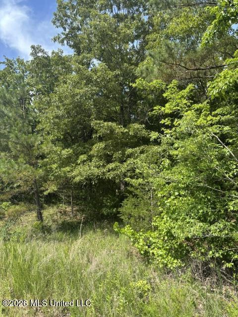 139 David Cove Property Photo 2