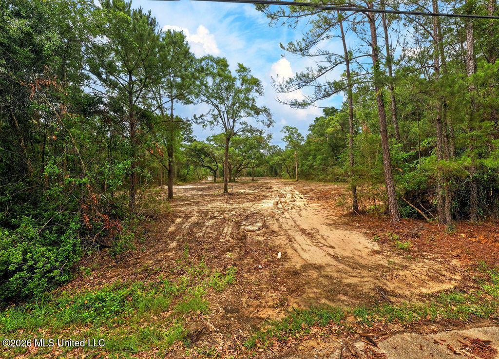 Pavolini Road Property Photo 2