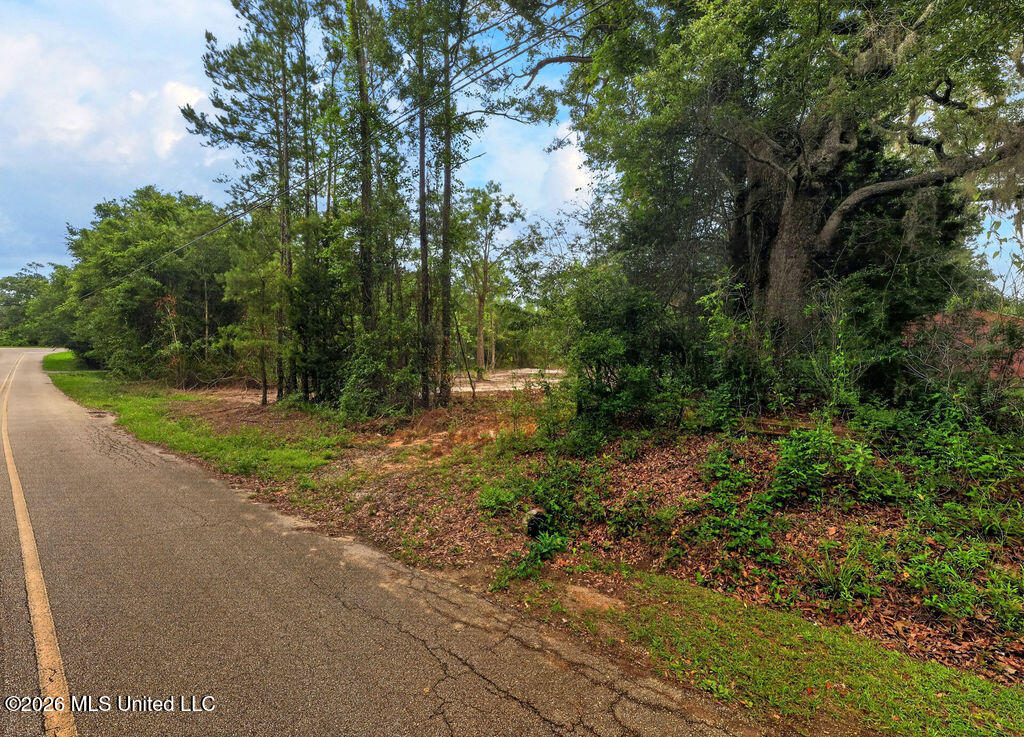 Pavolini Road Property Photo 4