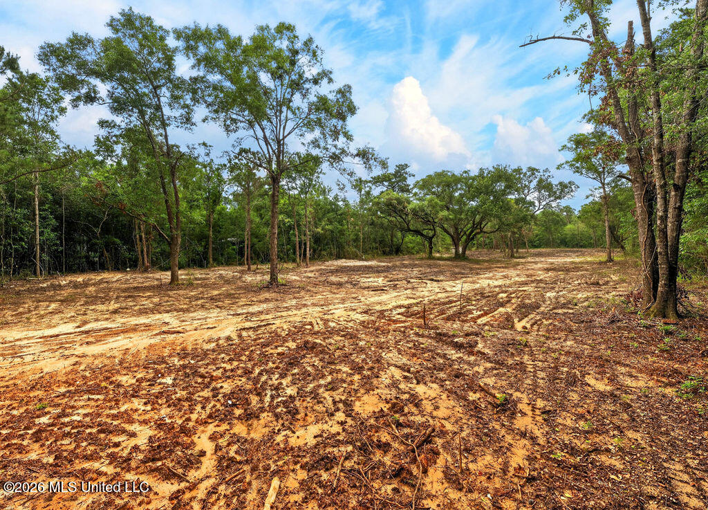 Pavolini Road Property Photo 5