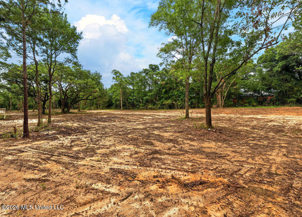 Pavolini Road Property Photo 6