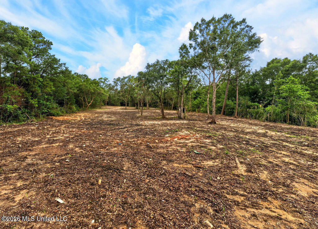 Pavolini Road Property Photo 7