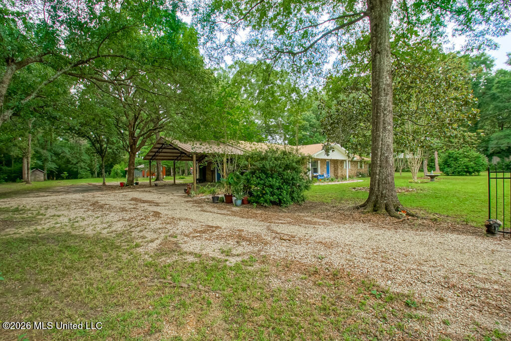 557 Walkiah Bluff Road Property Photo 4