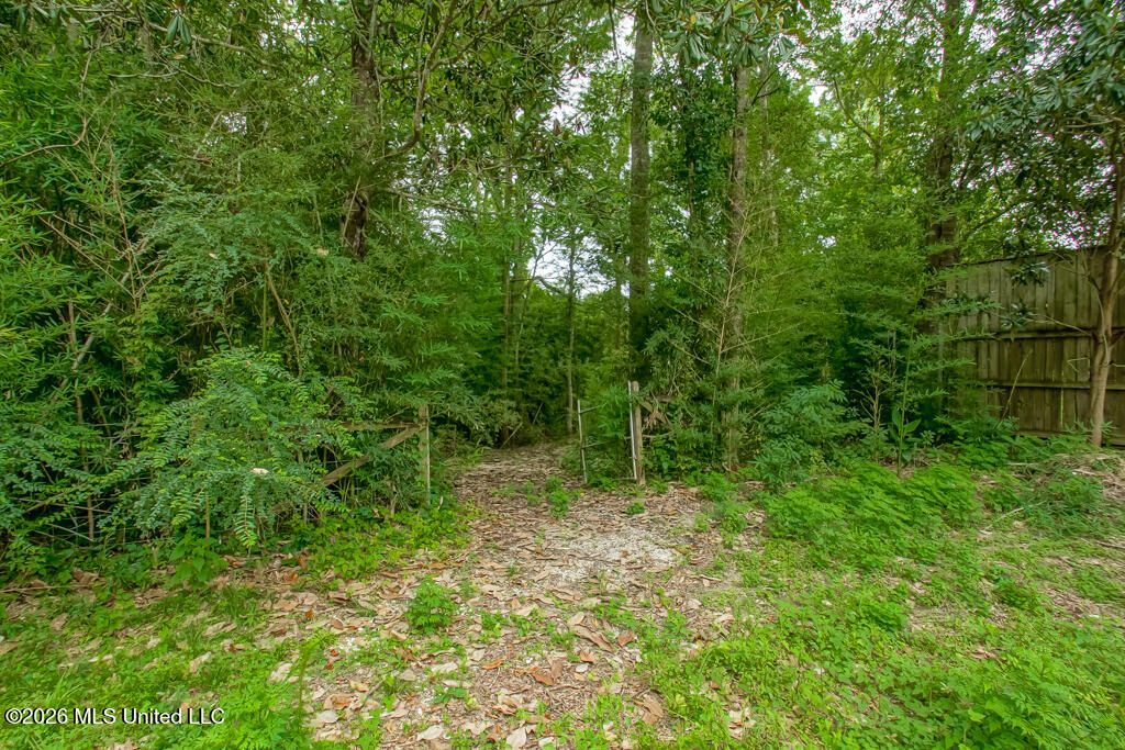 557 Walkiah Bluff Road Property Photo 17