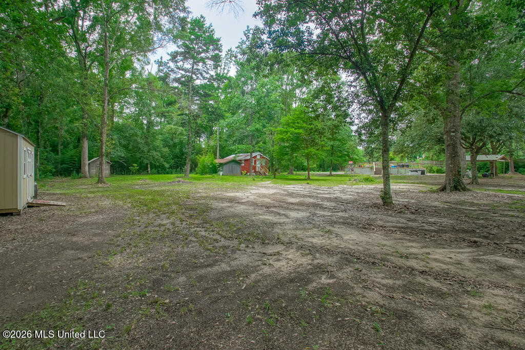 557 Walkiah Bluff Road Property Photo 38