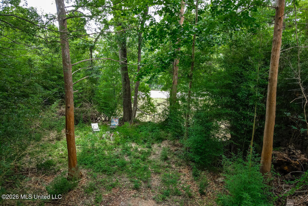 557 Walkiah Bluff Road Property Photo 47