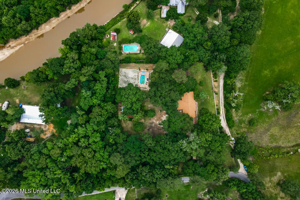 557 Walkiah Bluff Road Property Photo 50
