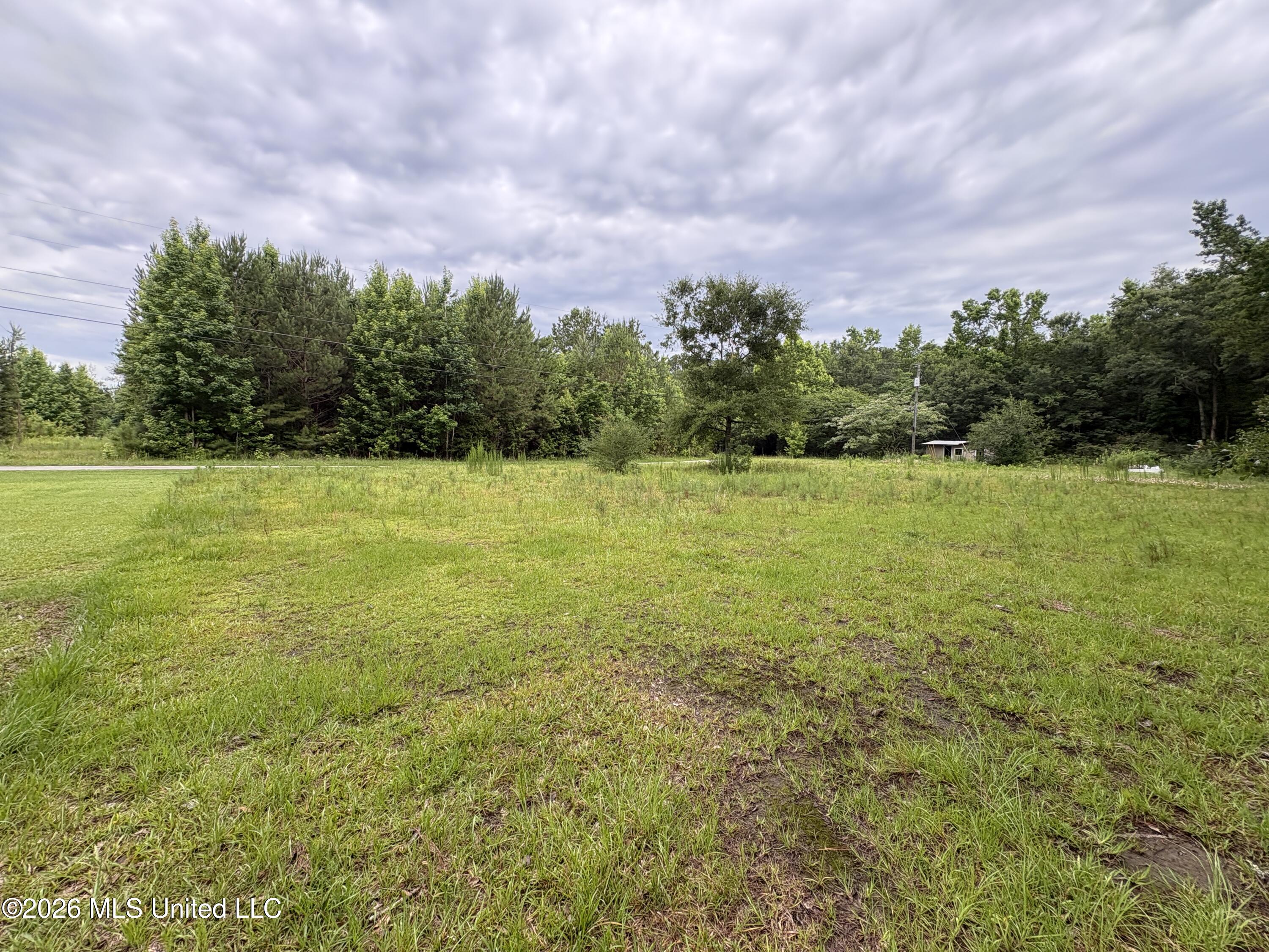2517 Will Kibby Road Property Photo 4