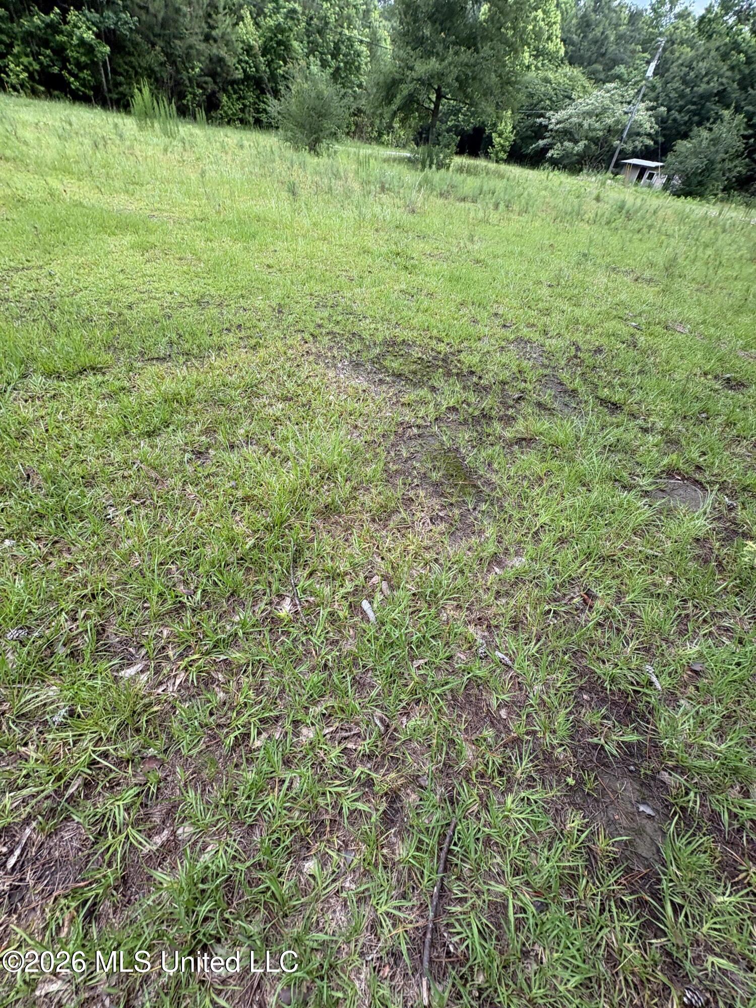 2517 Will Kibby Road Property Photo 5