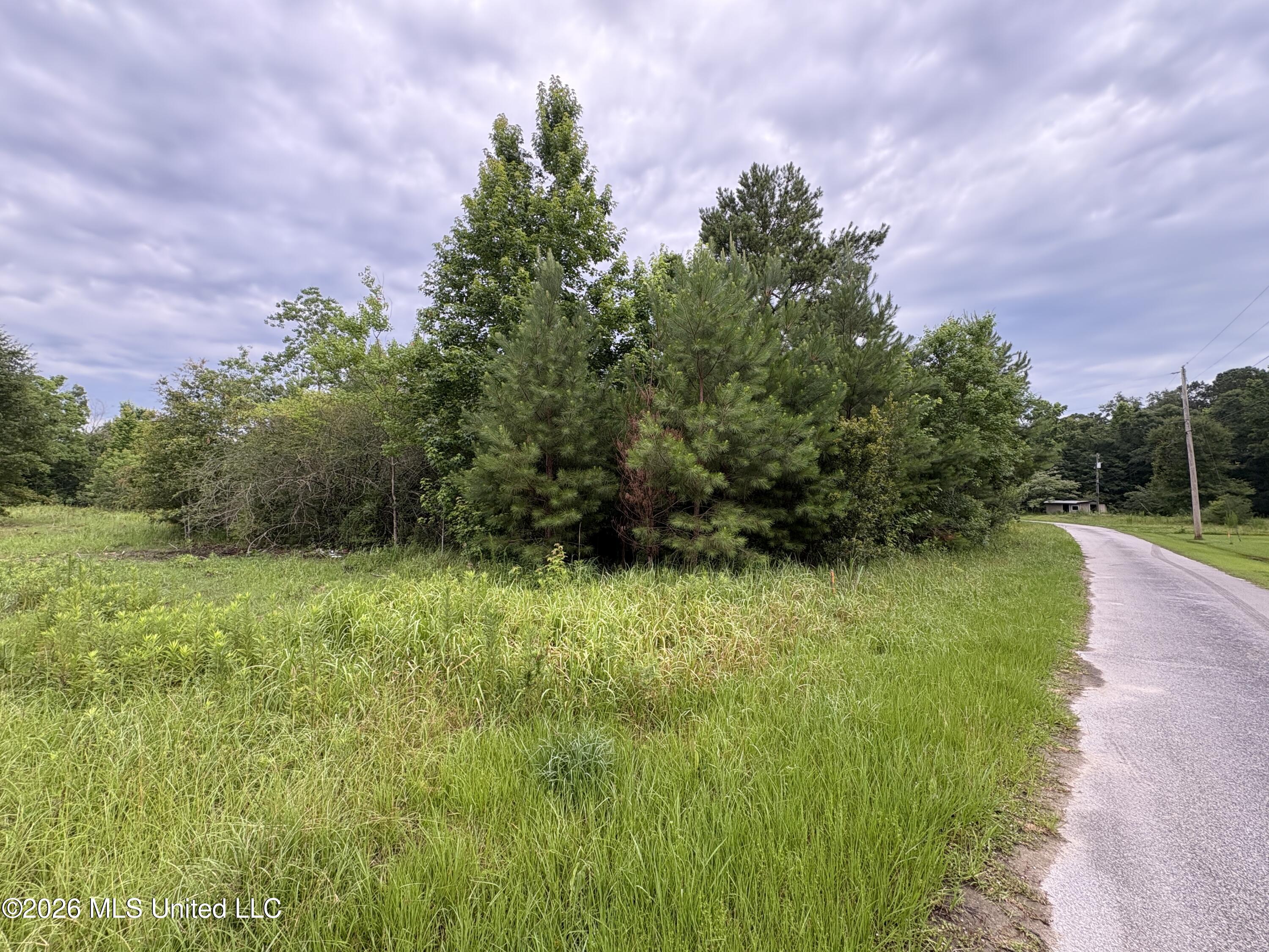 2517 Will Kibby Road Property Photo 6