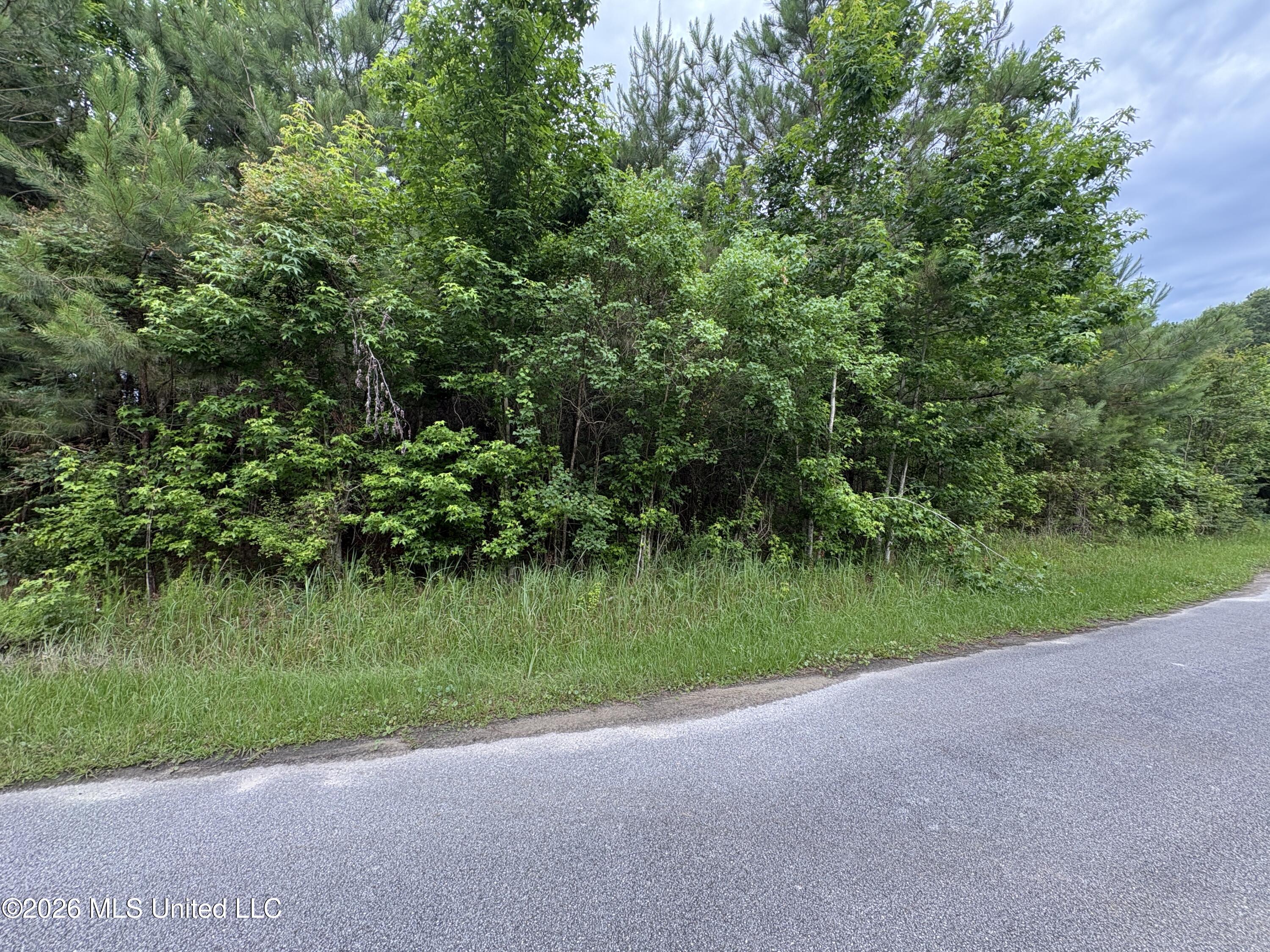 2517 Will Kibby Road Property Photo 7
