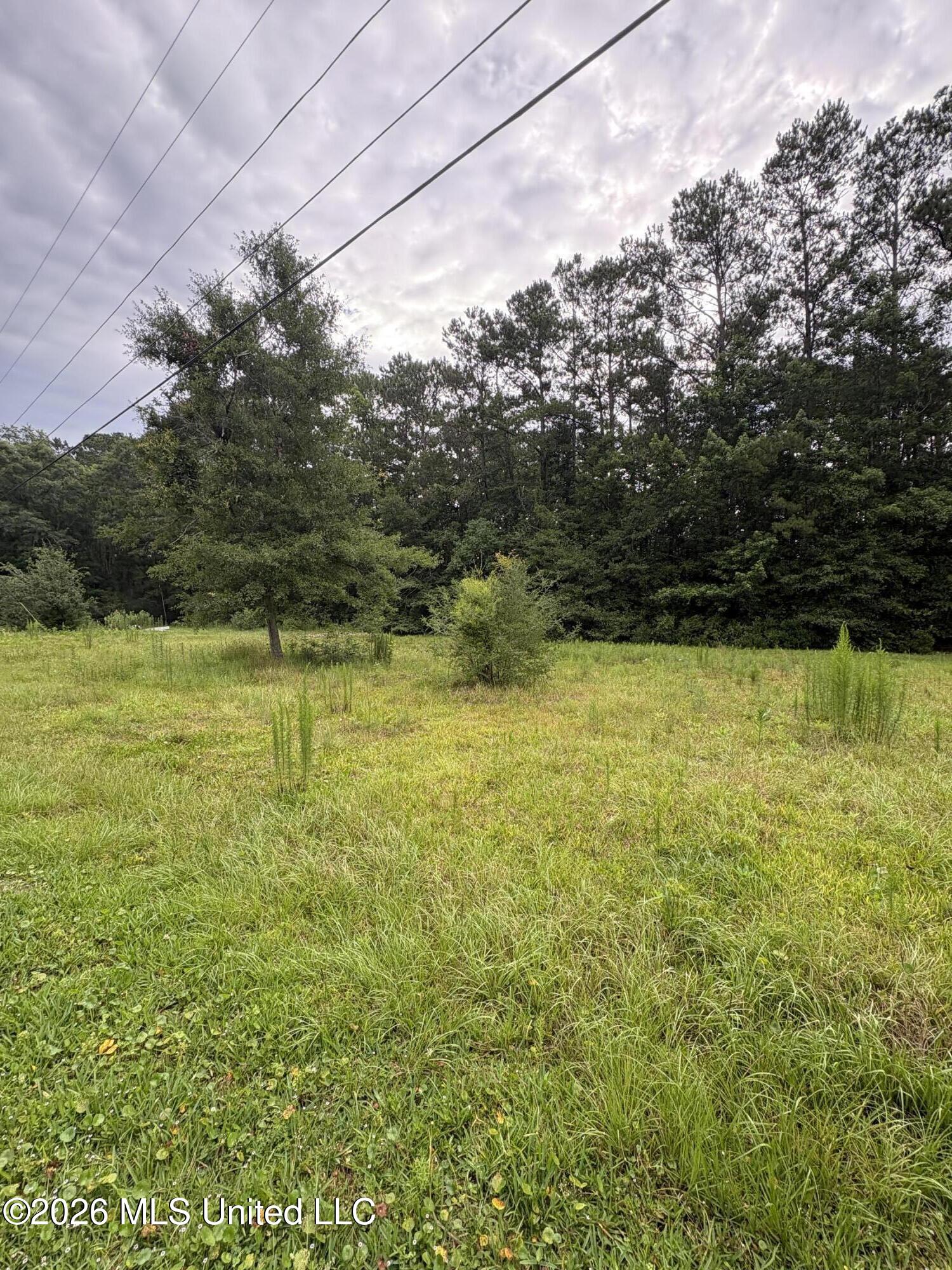 2517 Will Kibby Road Property Photo 11