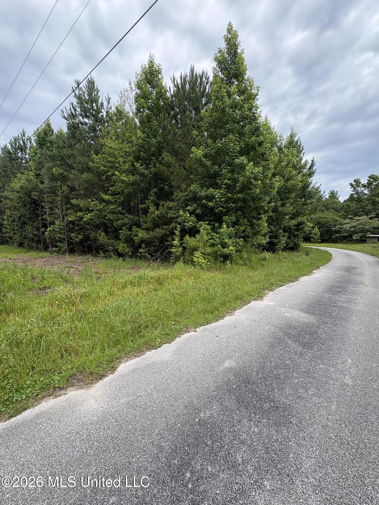 2517 Will Kibby Road Property Photo 13
