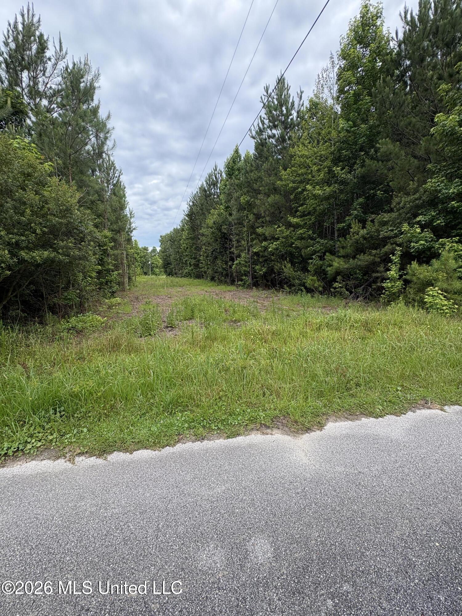 2517 Will Kibby Road Property Photo 14