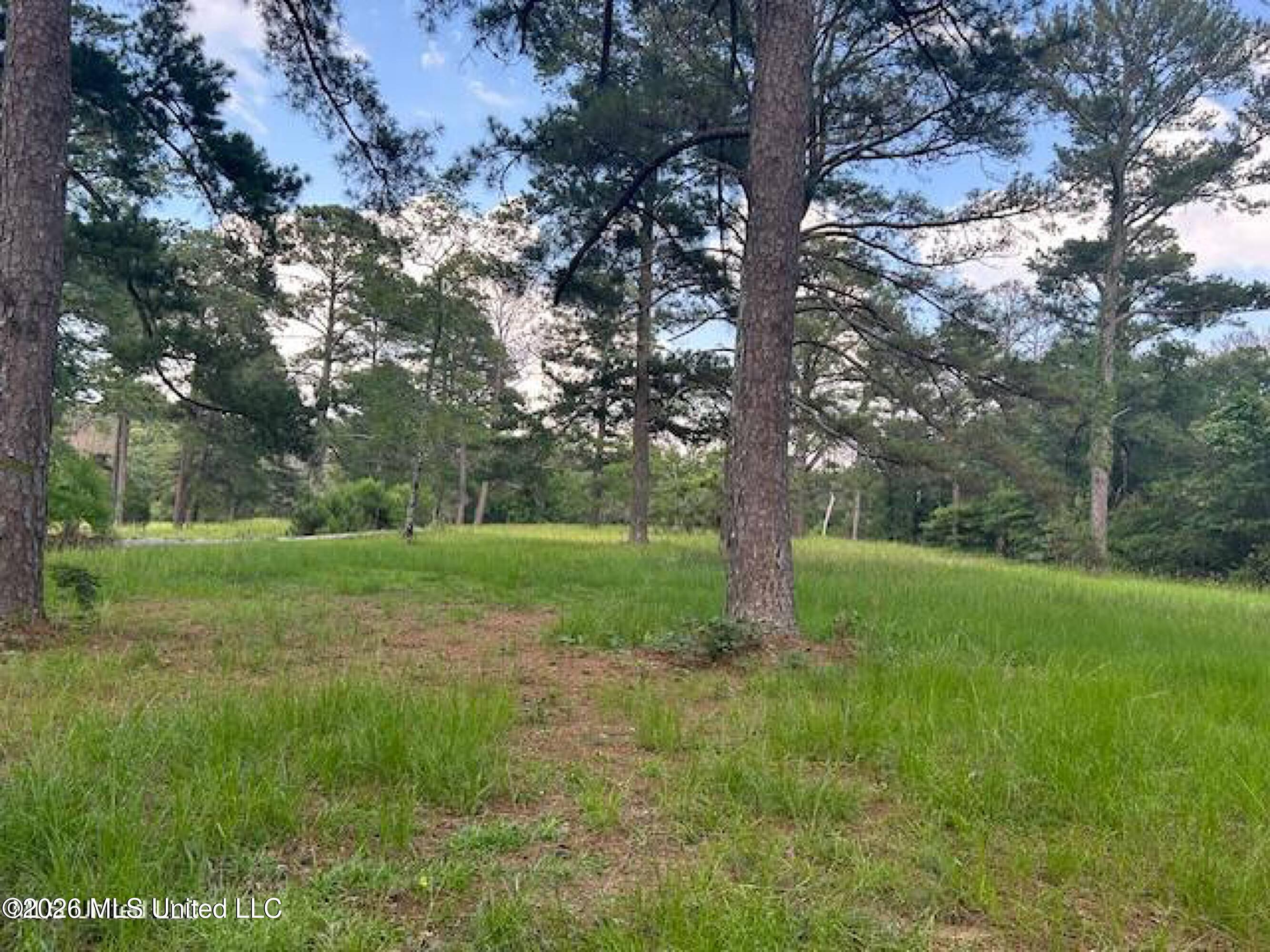 229 12 Oaks Trace Property Photo 5