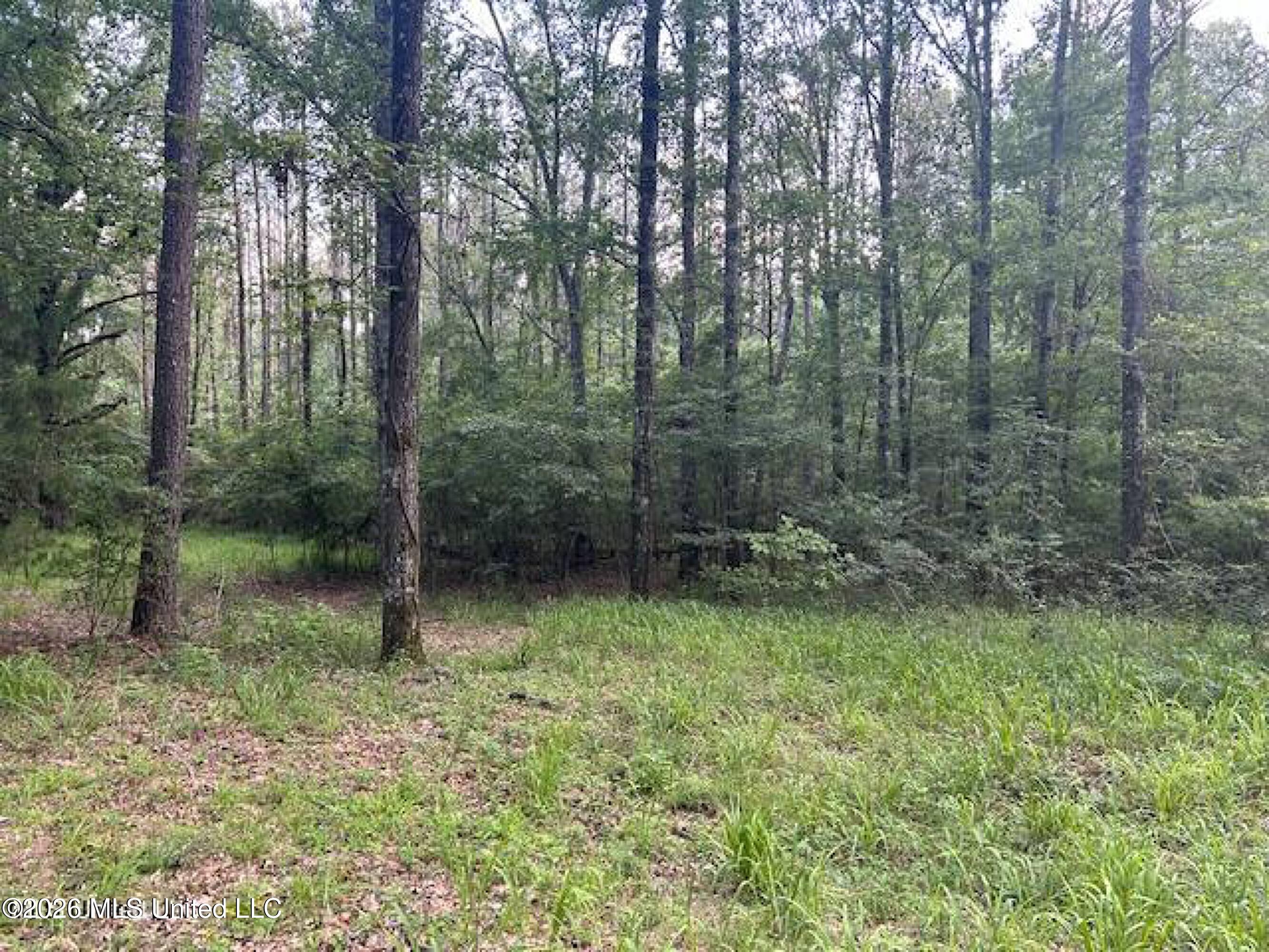229 12 Oaks Trace Property Photo 6