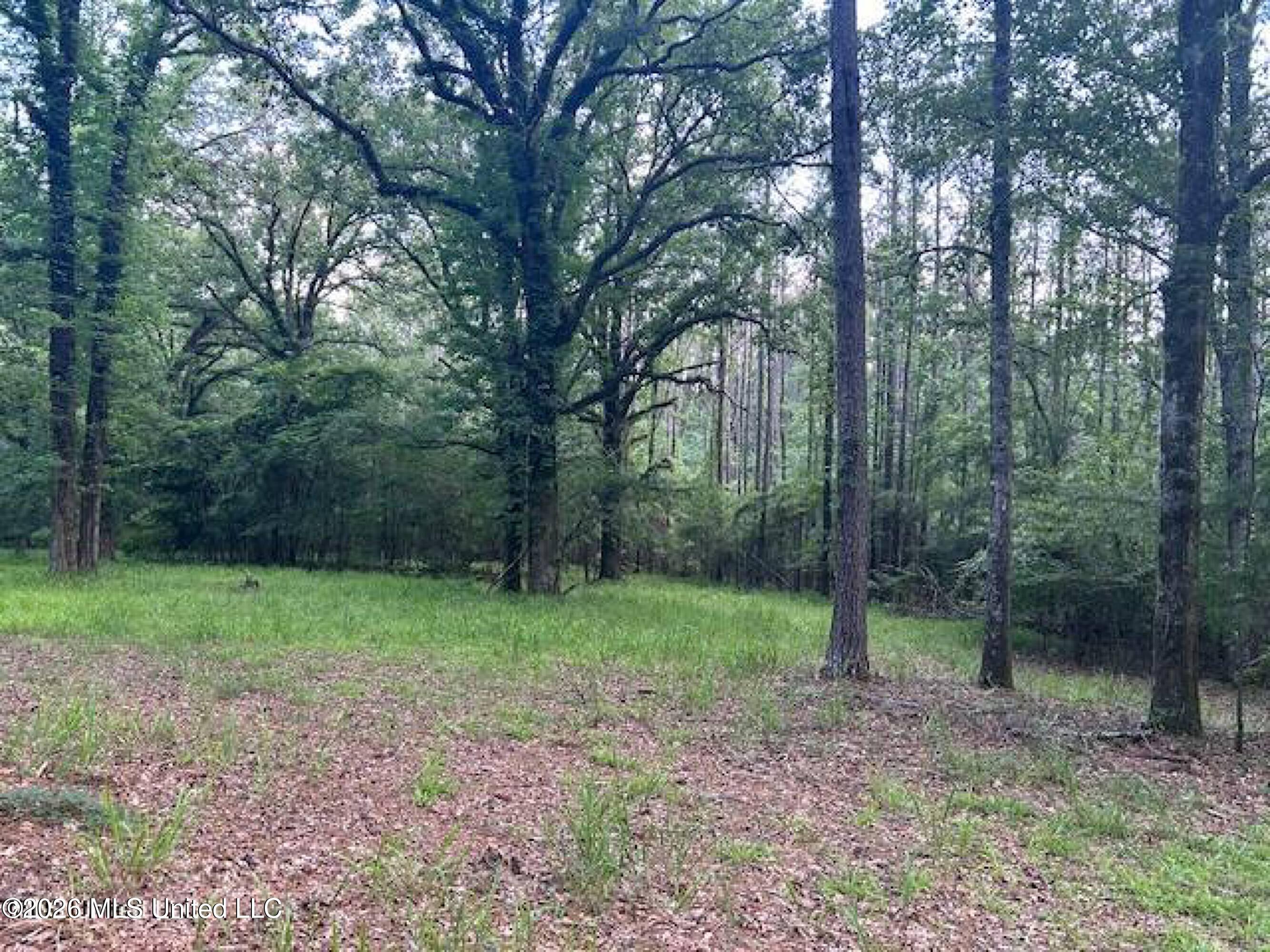 229 12 Oaks Trace Property Photo 11