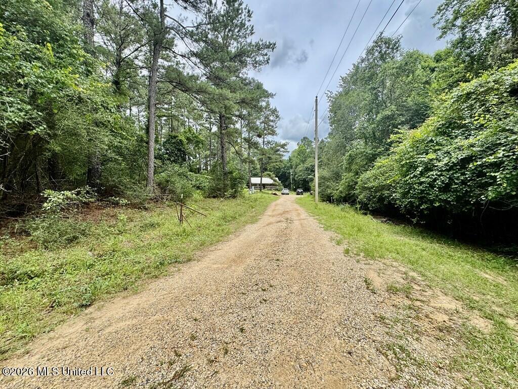 28061 Dusty Lane Property Photo 30