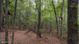 Lowhead Dam Road Property Photo 1