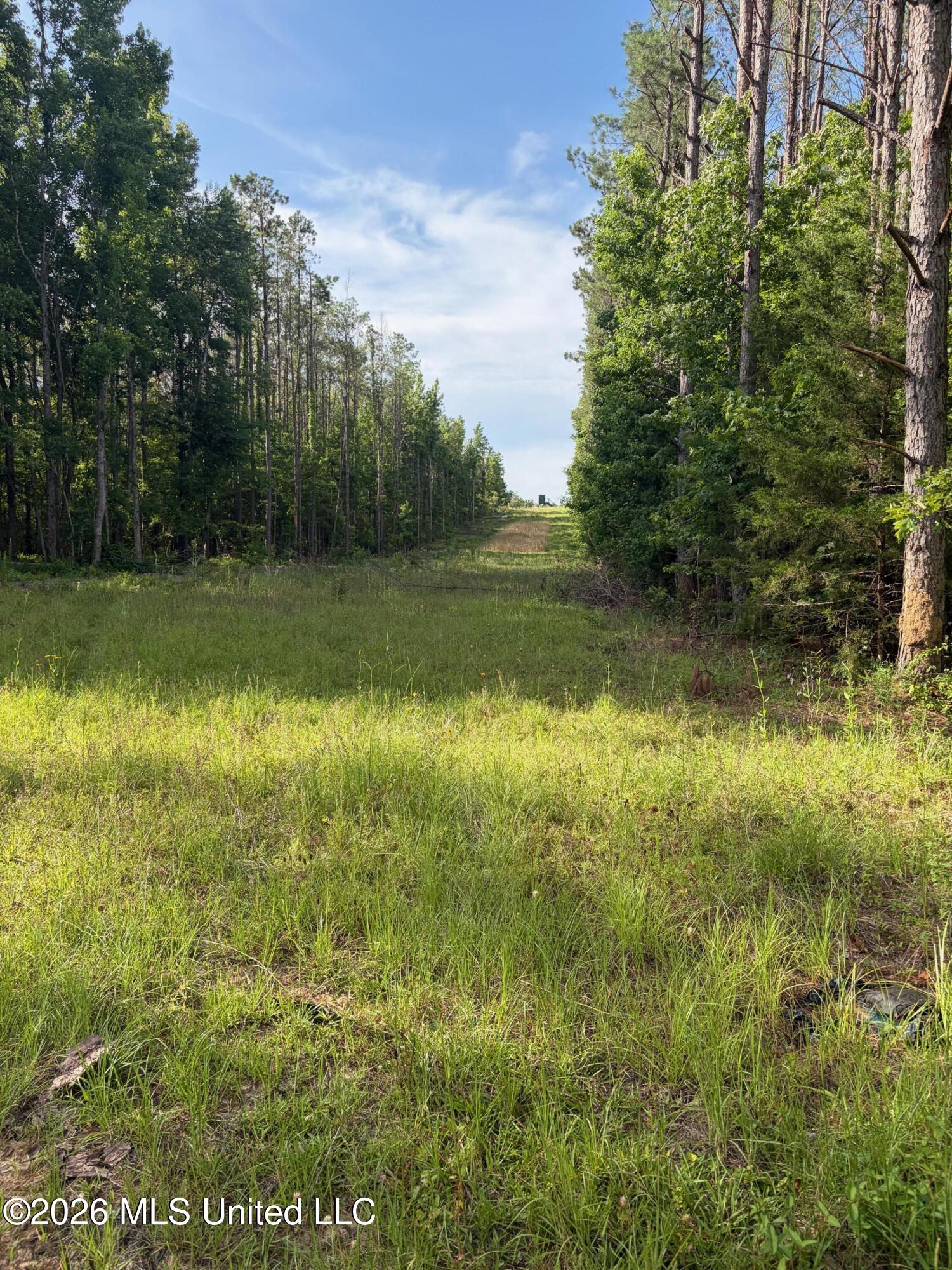 County Road 159