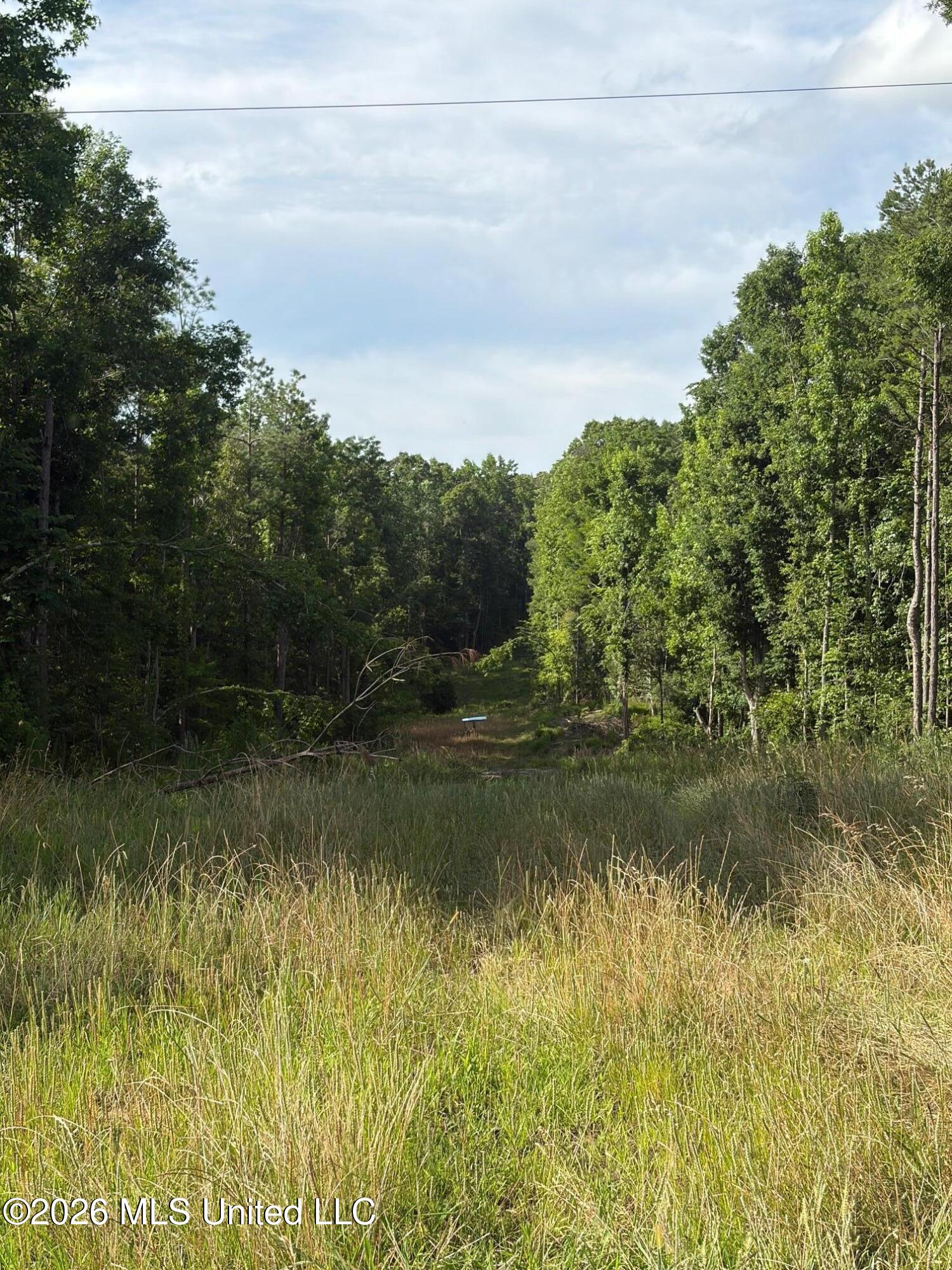County Road 159 Property Photo 2