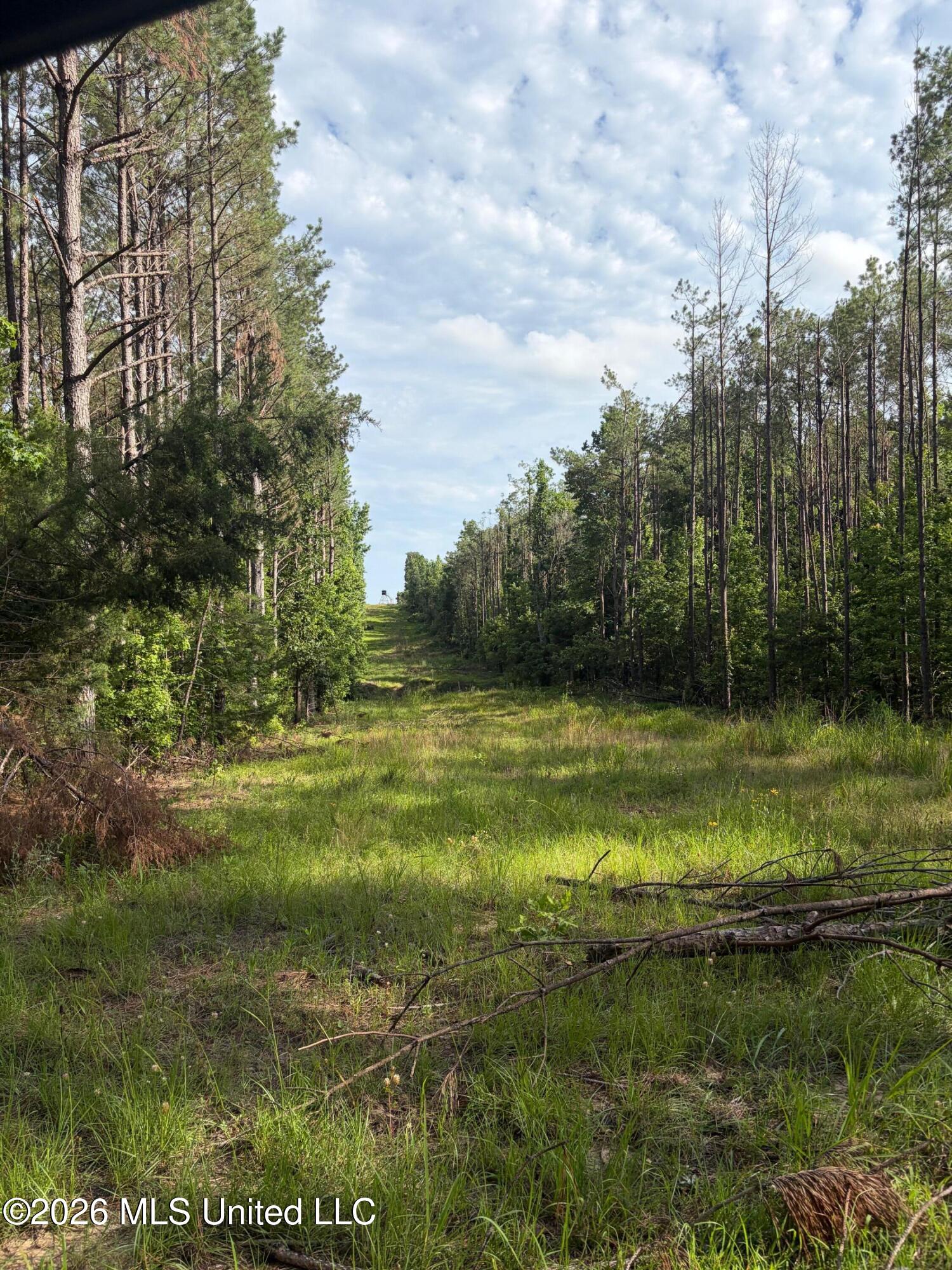 County Road 159 Property Photo 3