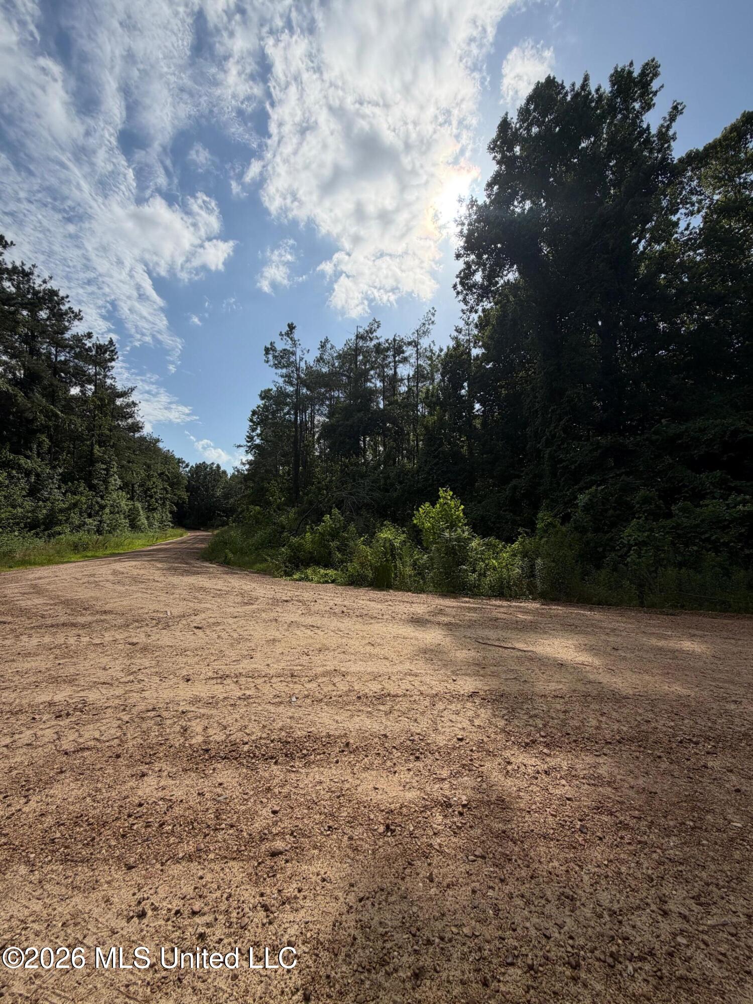 County Road 159 Property Photo 4