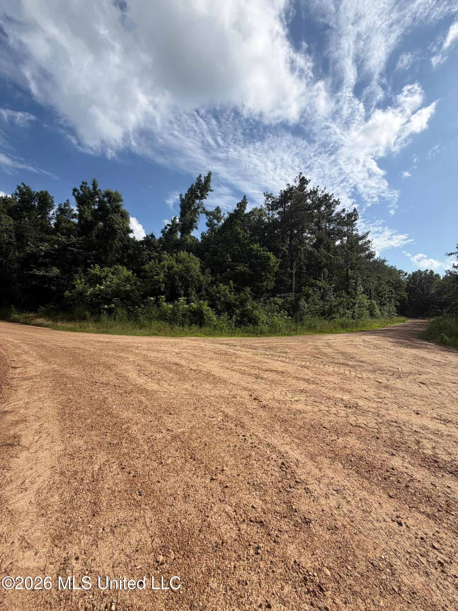 County Road 159 Property Photo 5
