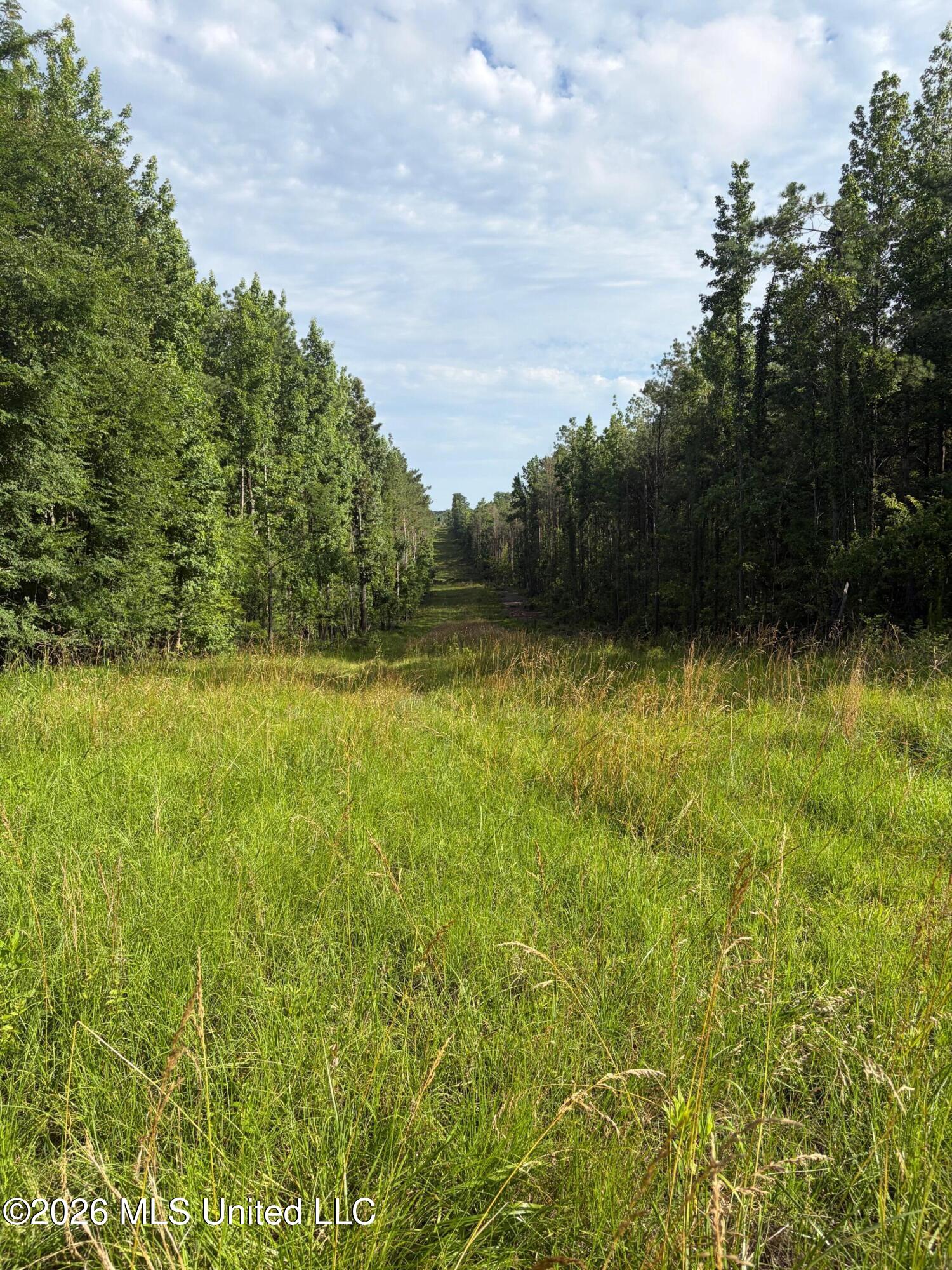 County Road 159 Property Photo 6