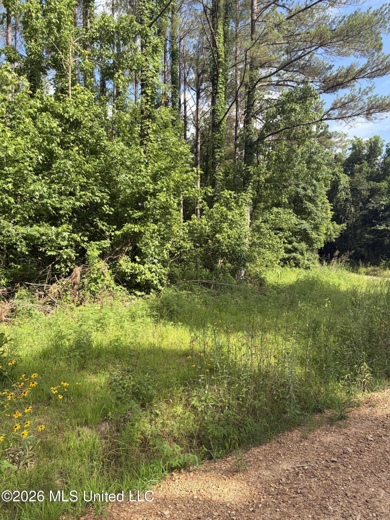 County Road 159 Property Photo 7