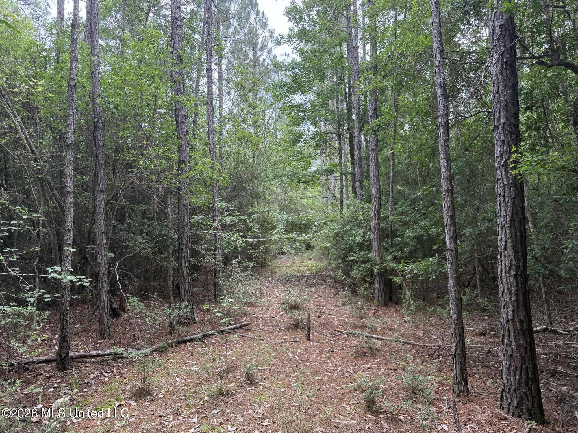 Highway 49 Property Photo 1