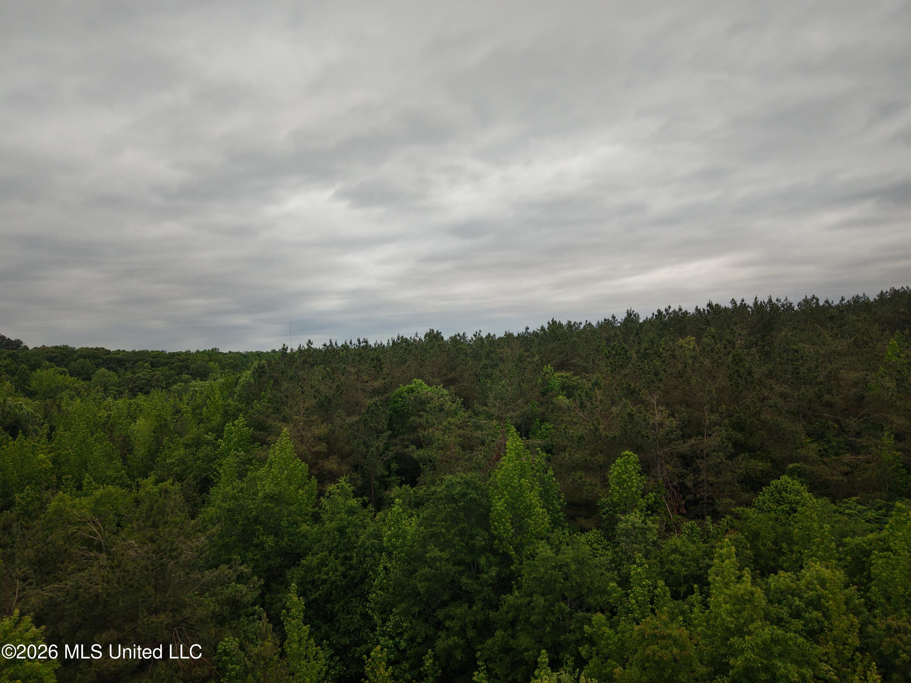 Beechwood Drive Property Photo 3