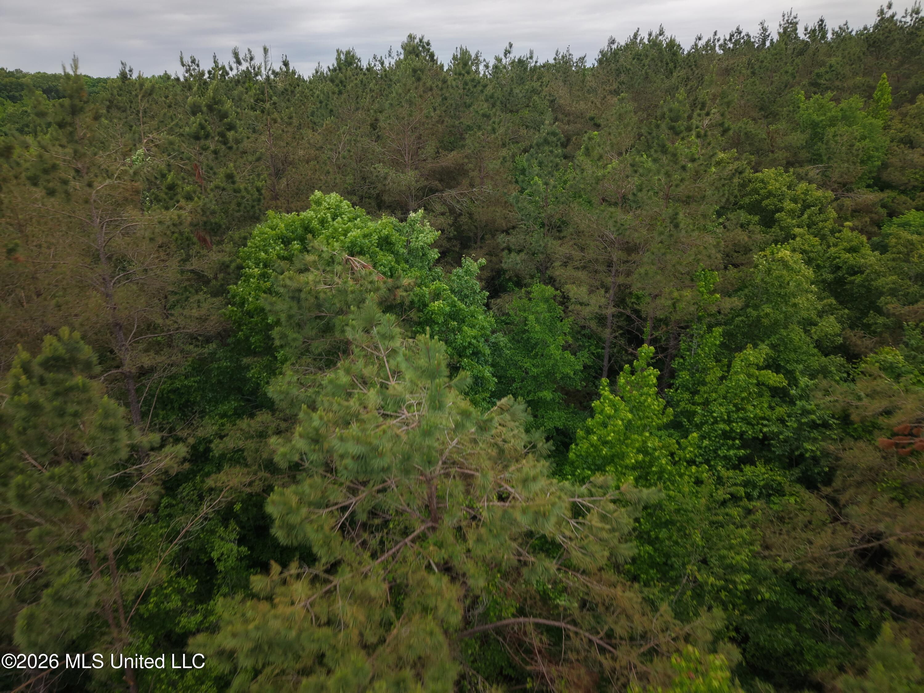Beechwood Drive Property Photo 4